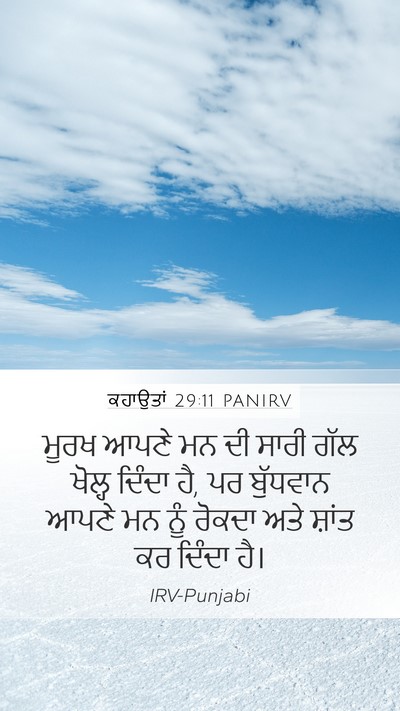 ਕਹਾਉਤਾਂ 29:11 PANIRV Bible Verse Image