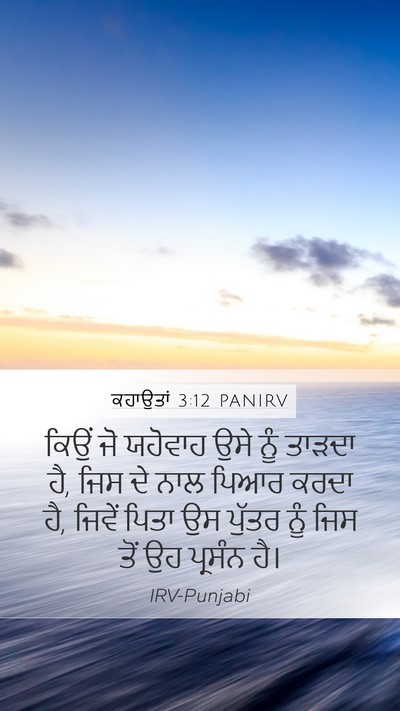 ਕਹਾਉਤਾਂ 3:12 PANIRV Bible Verse Image