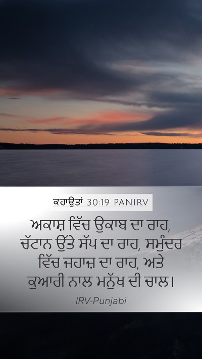 ਕਹਾਉਤਾਂ 30:19 PANIRV Mobile Phone Wallpaper - ਅਕਾਸ਼ ਵਿੱਚ ਉਕਾਬ ਦਾ - Mobile Bible Verse Wallpaper