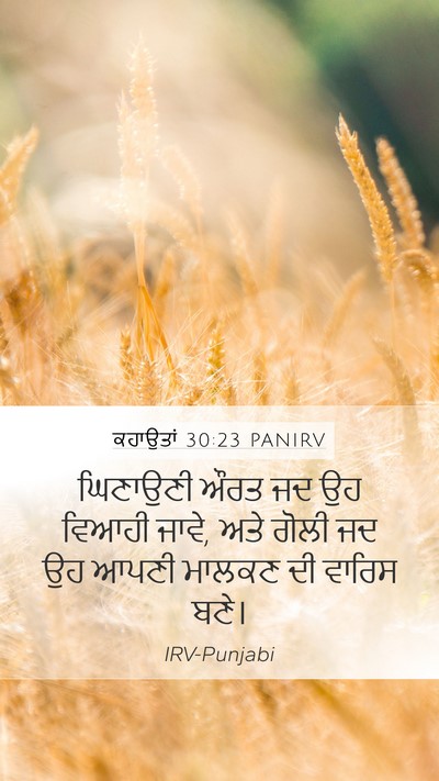 ਕਹਾਉਤਾਂ 30:23 PANIRV Bible Verse Image
