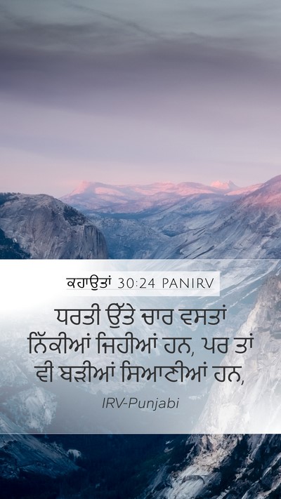 ਕਹਾਉਤਾਂ 30:24 PANIRV Bible Verse Image