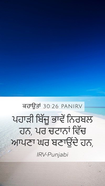 ਕਹਾਉਤਾਂ 30:26 PANIRV Mobile Phone Wallpaper - ਪਹਾੜੀ ਬਿੱਜੂ ਭਾਵੇਂ - Mobile Bible Verse Wallpaper