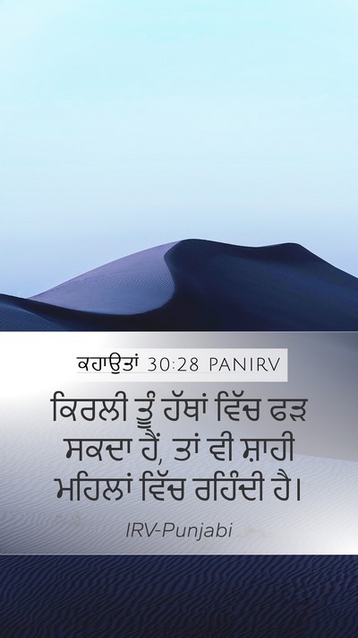 ਕਹਾਉਤਾਂ 30:28 PANIRV Mobile Phone Wallpaper - ਕਿਰਲੀ ਤੂੰ ਹੱਥਾਂ - Mobile Bible Verse Wallpaper