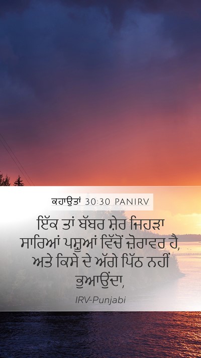 ਕਹਾਉਤਾਂ 30:30 PANIRV Bible Verse Image