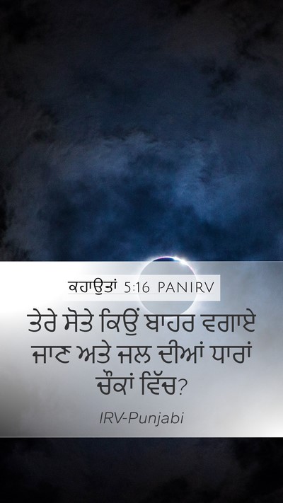 ਕਹਾਉਤਾਂ 5:16 PANIRV Bible Verse Image