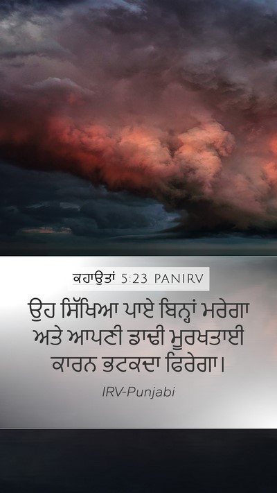 ਕਹਾਉਤਾਂ 5:23 PANIRV Bible Verse Image