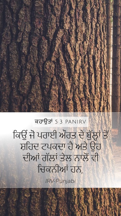 ਕਹਾਉਤਾਂ 5:3 PANIRV Bible Verse Image