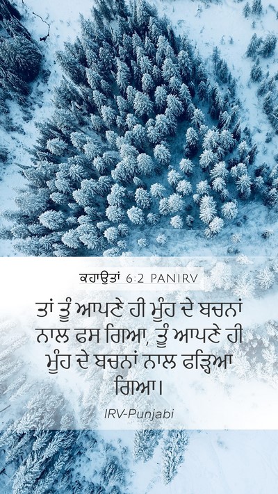 ਕਹਾਉਤਾਂ 6:2 PANIRV Bible Verse Image