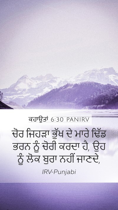 ਕਹਾਉਤਾਂ 6:30 PANIRV Bible Verse Image