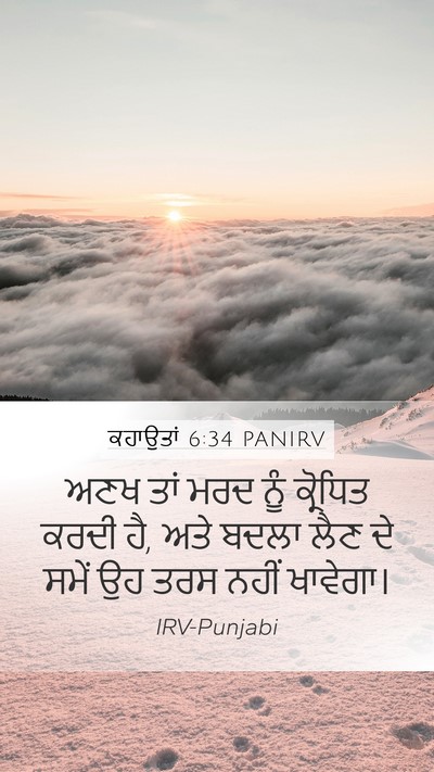 ਕਹਾਉਤਾਂ 6:34 PANIRV Bible Verse Image