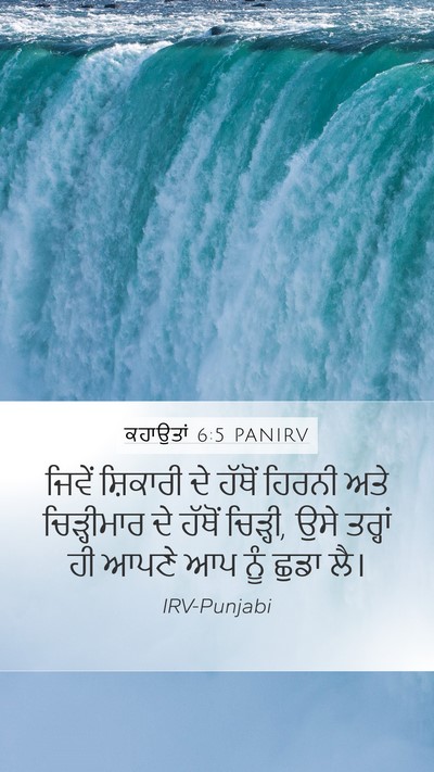 ਕਹਾਉਤਾਂ 6:5 PANIRV Bible Verse Image