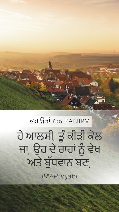 ਕਹਾਉਤਾਂ 6:6 PANIRV Bible Verse Image