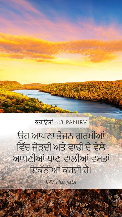 ਕਹਾਉਤਾਂ 6:8 PANIRV Bible Verse Image