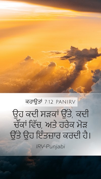 ਕਹਾਉਤਾਂ 7:12 PANIRV Bible Verse Image