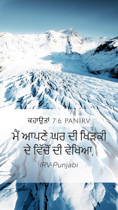 ਕਹਾਉਤਾਂ 7:6 PANIRV Bible Verse Image