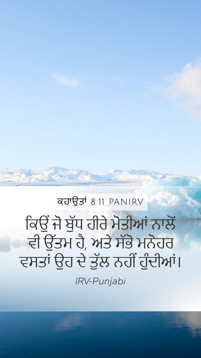 ਕਹਾਉਤਾਂ 8:11 PANIRV Bible Verse Image