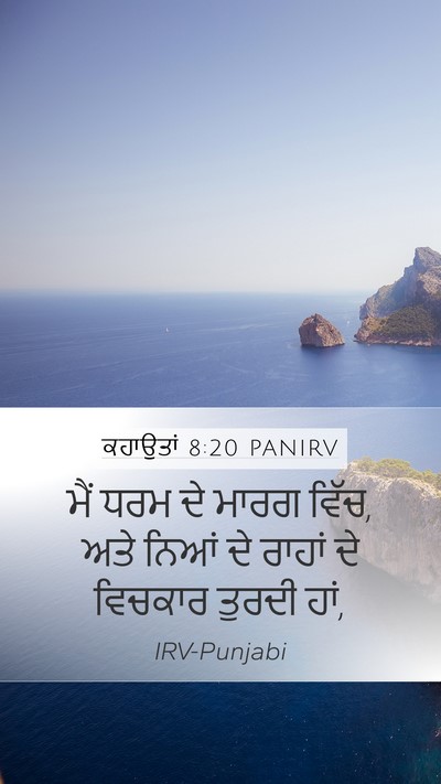 ਕਹਾਉਤਾਂ 8:20 PANIRV Bible Verse Image