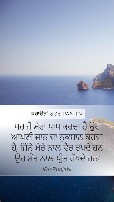 ਕਹਾਉਤਾਂ 8:36 PANIRV Bible Verse Image