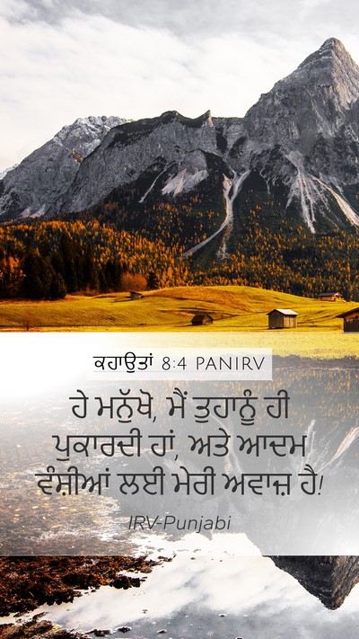 ਕਹਾਉਤਾਂ 8:4 PANIRV Bible Verse Image