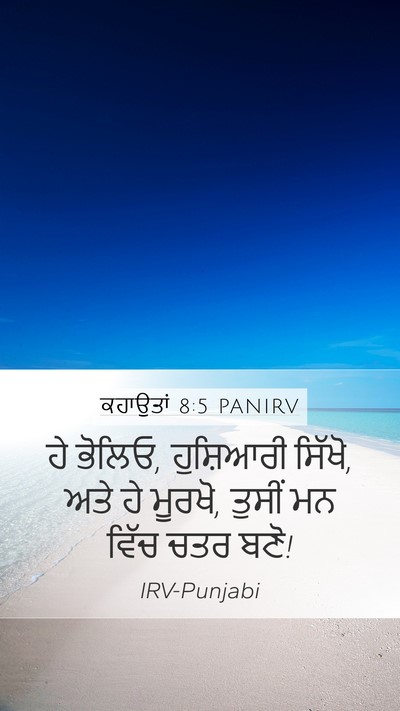 ਕਹਾਉਤਾਂ 8:5 PANIRV Bible Verse Image