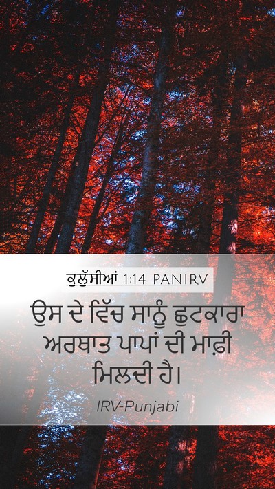 ਕੁਲੁੱਸੀਆਂ 1:14 PANIRV Bible Verse Image