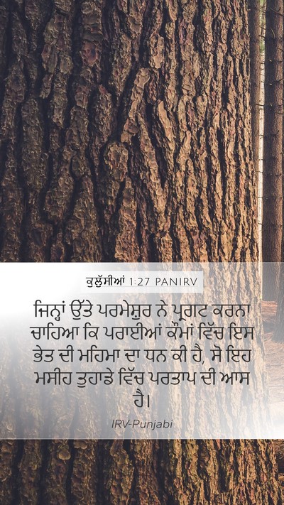 ਕੁਲੁੱਸੀਆਂ 1:27 PANIRV Bible Verse Image