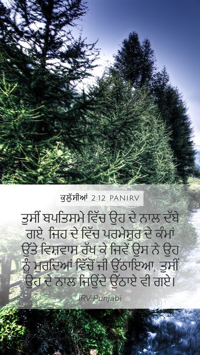 ਕੁਲੁੱਸੀਆਂ 2:12 PANIRV Bible Verse Image