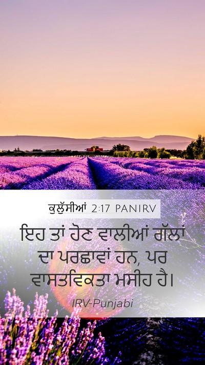 ਕੁਲੁੱਸੀਆਂ 2:17 PANIRV Bible Verse Image