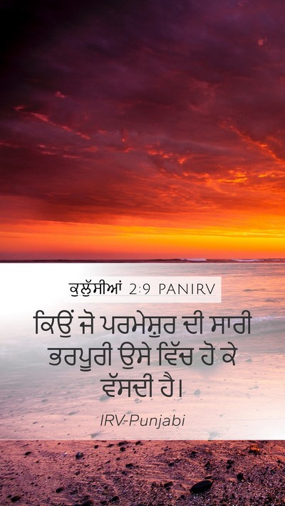 ਕੁਲੁੱਸੀਆਂ 2:9 PANIRV Bible Verse Image