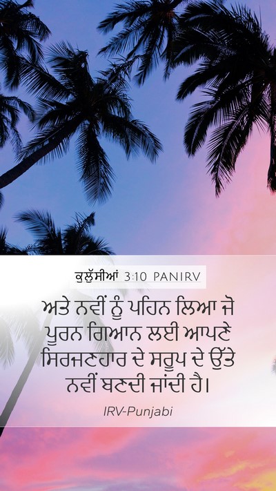 ਕੁਲੁੱਸੀਆਂ 3:10 PANIRV Bible Verse Image