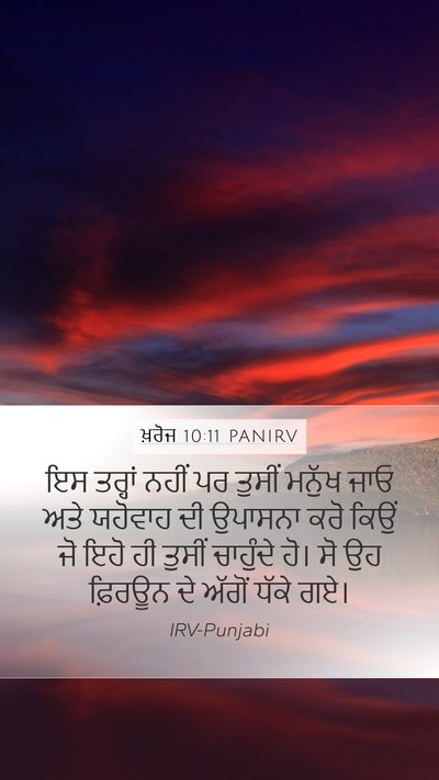 ਖ਼ਰੋਜ 10:11 PANIRV Bible Verse Image
