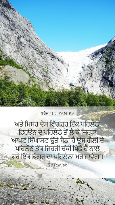 ਖ਼ਰੋਜ 11:5 PANIRV Bible Verse Image