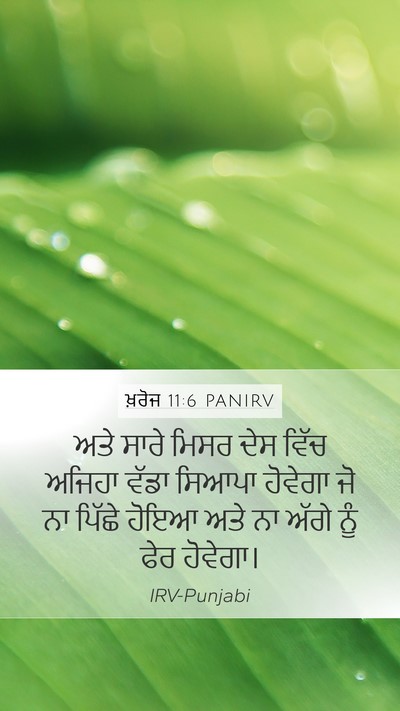 ਖ਼ਰੋਜ 11:6 PANIRV Bible Verse Image