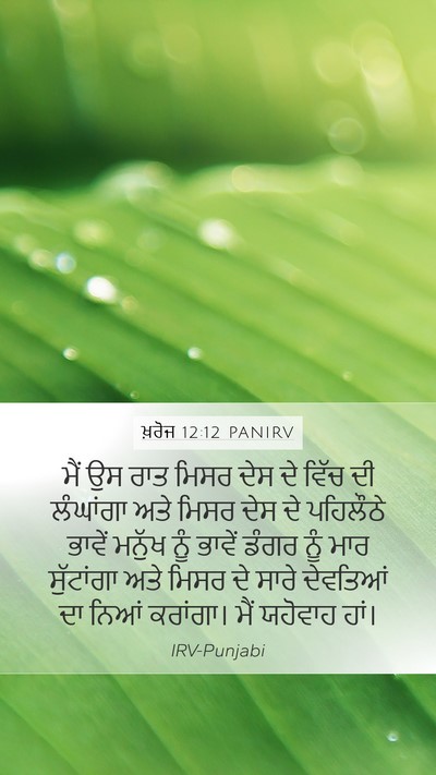 ਖ਼ਰੋਜ 12:12 PANIRV Bible Verse Image