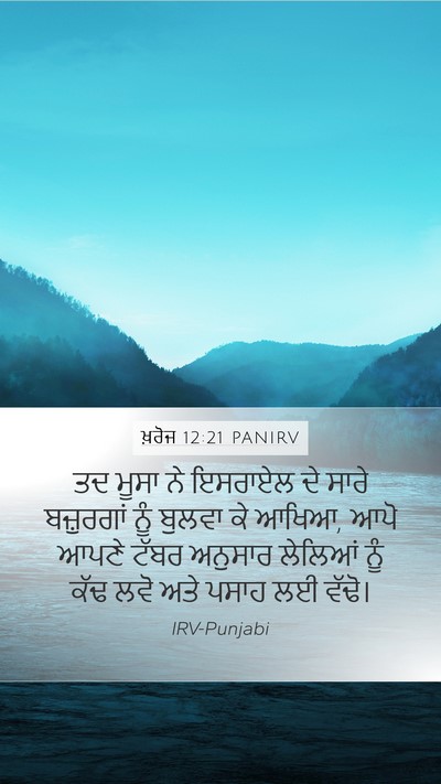 ਖ਼ਰੋਜ 12:21 PANIRV Bible Verse Image
