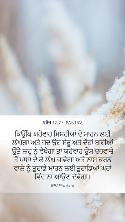 ਖ਼ਰੋਜ 12:23 PANIRV Bible Verse Image