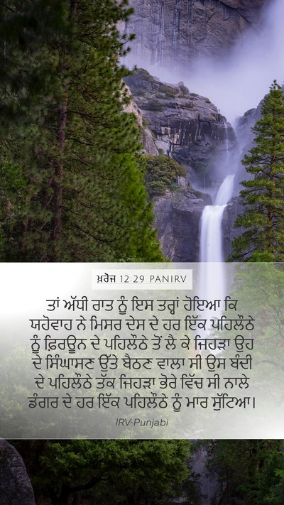 ਖ਼ਰੋਜ 12:29 PANIRV Bible Verse Image