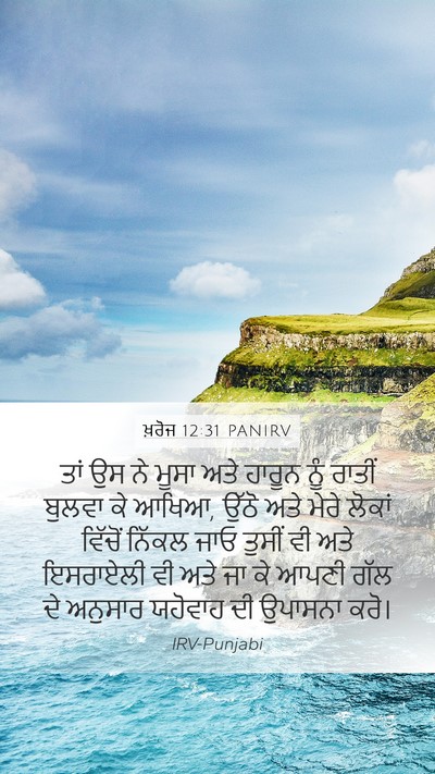 ਖ਼ਰੋਜ 12:31 PANIRV Bible Verse Image