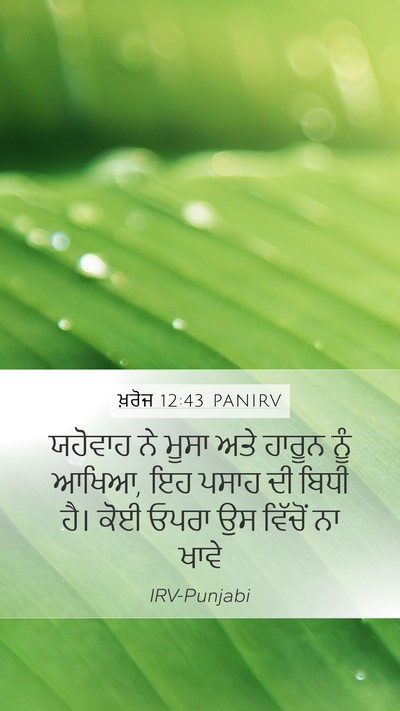 ਖ਼ਰੋਜ 12:43 PANIRV Bible Verse Image