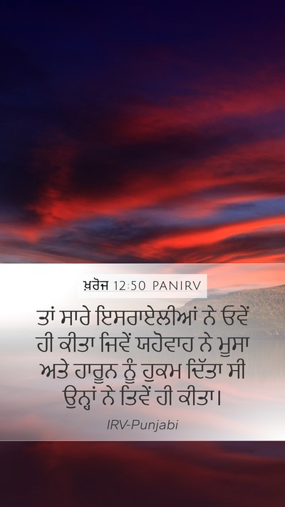 ਖ਼ਰੋਜ 12:50 PANIRV Bible Verse Image