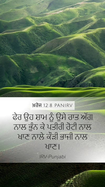 ਖ਼ਰੋਜ 12:8 PANIRV Bible Verse Image
