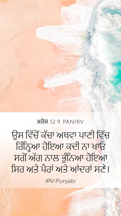 ਖ਼ਰੋਜ 12:9 PANIRV Mobile Phone Wallpaper - ਉਸ ਵਿੱਚੋਂ ਕੱਚਾ - Mobile Bible Verse Wallpaper