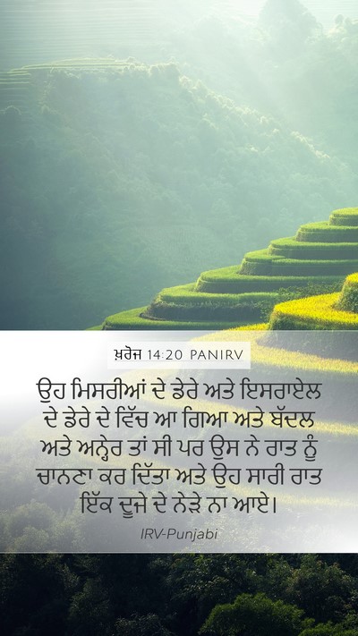 ਖ਼ਰੋਜ 14:20 PANIRV Bible Verse Image