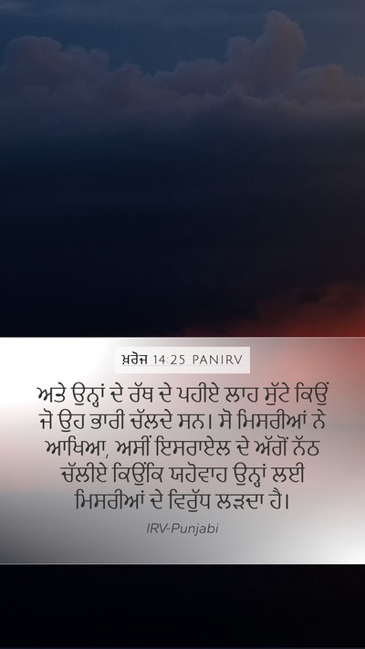 ਖ਼ਰੋਜ 14:25 PANIRV Bible Verse Image
