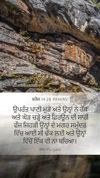 ਖ਼ਰੋਜ 14:28 PANIRV Bible Verse Image