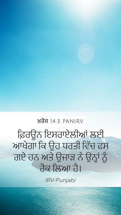 ਖ਼ਰੋਜ 14:3 PANIRV Bible Verse Image