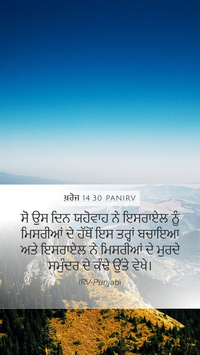 ਖ਼ਰੋਜ 14:30 PANIRV Bible Verse Image