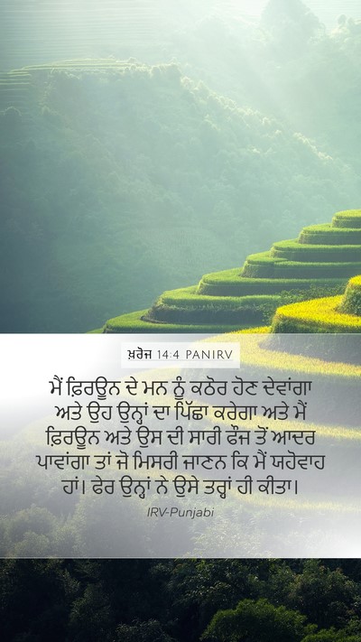 ਖ਼ਰੋਜ 14:4 PANIRV Bible Verse Image