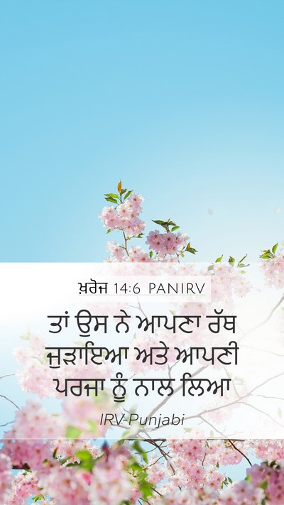 ਖ਼ਰੋਜ 14:6 PANIRV Bible Verse Image