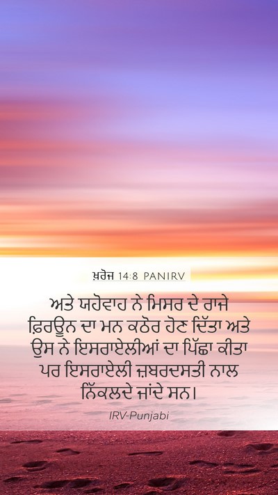 ਖ਼ਰੋਜ 14:8 PANIRV Bible Verse Image